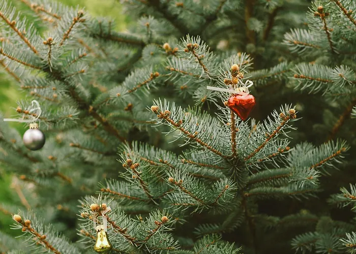 Doganin Kalbindeki Eviniz-7 Kisi Gemlik