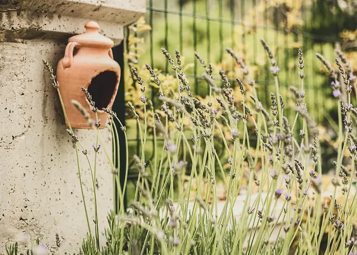 Doganin Kalbindeki Eviniz-7 Kisi Apartamento